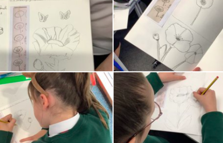 Image of Yr6 have been developing their sketching skills by sketching poppies. Brilliant job Yr6